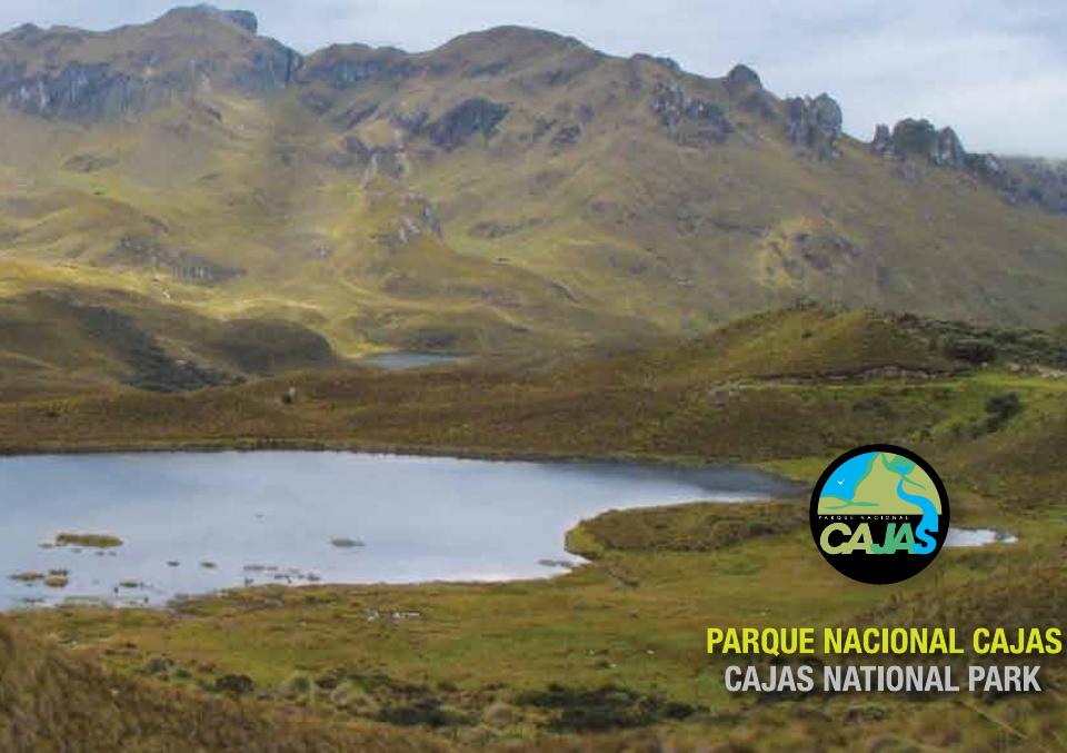 Vista previa: Plantas del Parque Nacional Cajas: guía de 100 plantas silvestres del páramo
