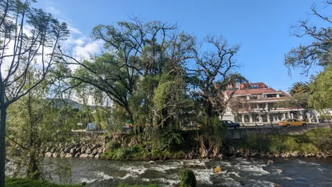 Árboles grandes y la orilla del río enmarcan una escena de parque urbano.
