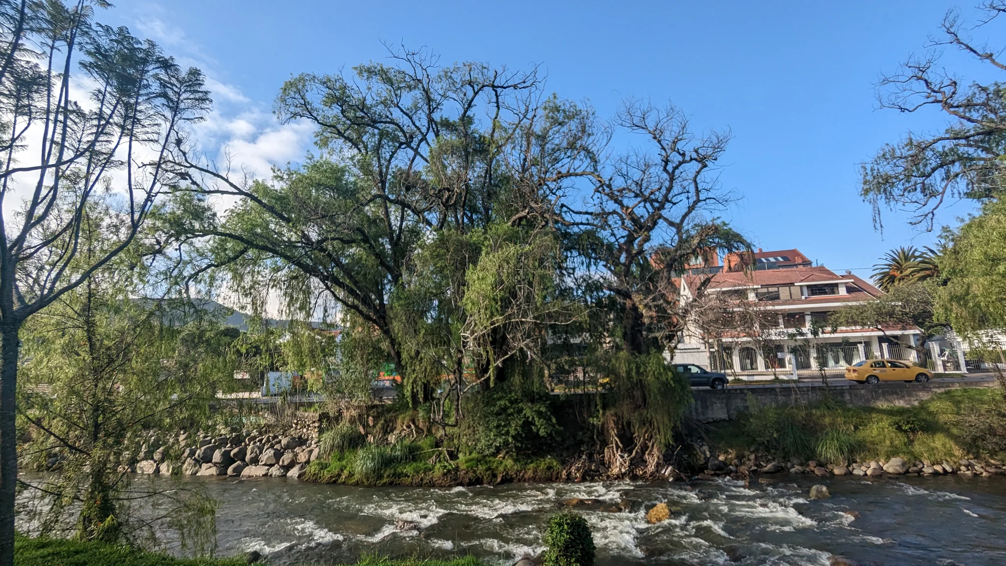 Árboles grandes y la orilla del río enmarcan una escena de parque urbano.