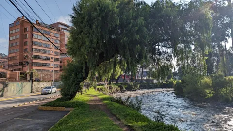Un edificio de ladrillo rojo se levanta junto a una ribera con árboles.
