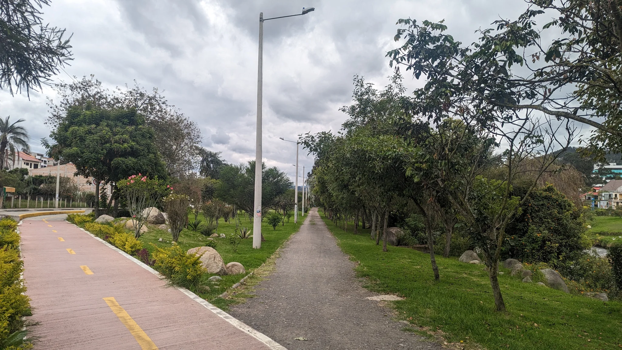 Un sendero pavimentado se divide bajo los árboles en una ruta urbana para correr.