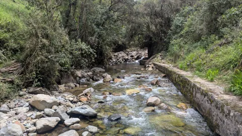 Una quebrada rocosa corre junto a la carretera por un valle verde.