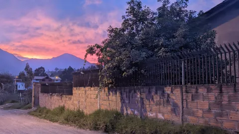 Nubes rosadas y moradas brillan sobre árboles oscuros y siluetas de montañas.