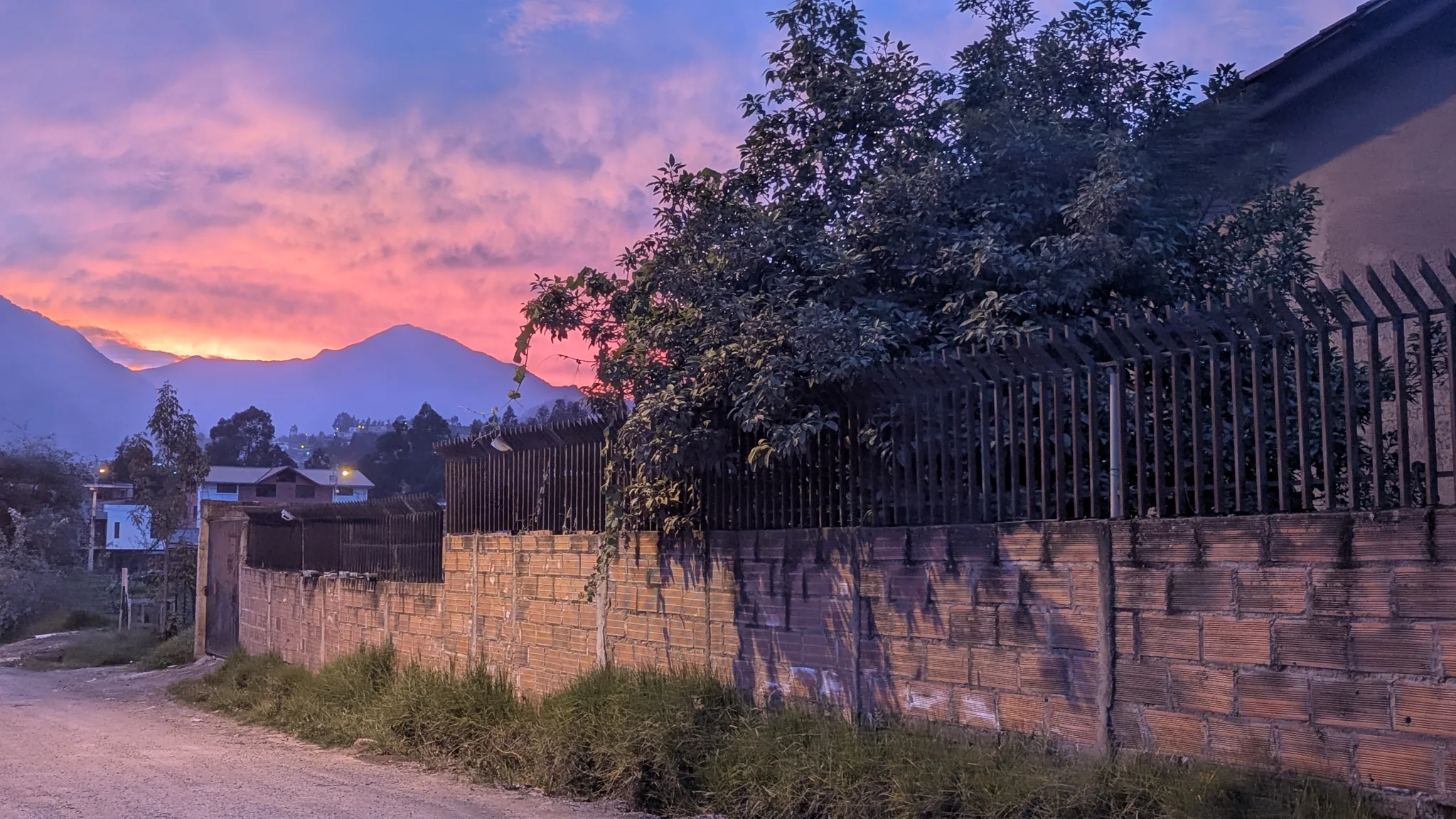 Nubes rosadas y moradas brillan sobre árboles oscuros y siluetas de montañas.