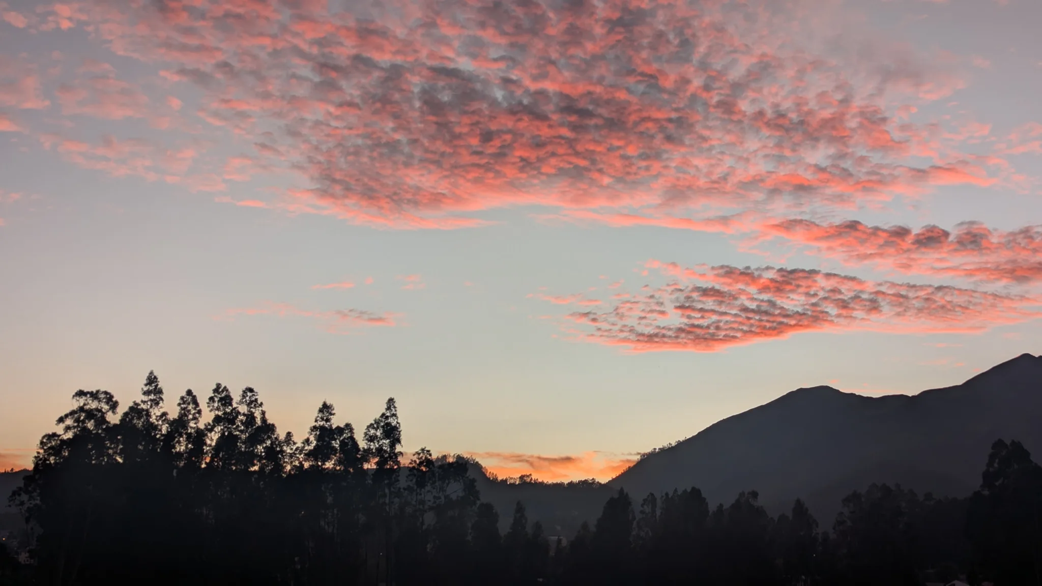Nubes suaves y rosadas del atardecer flotan sobre las lomas y los árboles.