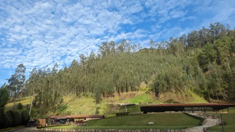 Un puente junto a una laguna de parque. El nombre del cuerpo de agua sigue sin confirmarse.