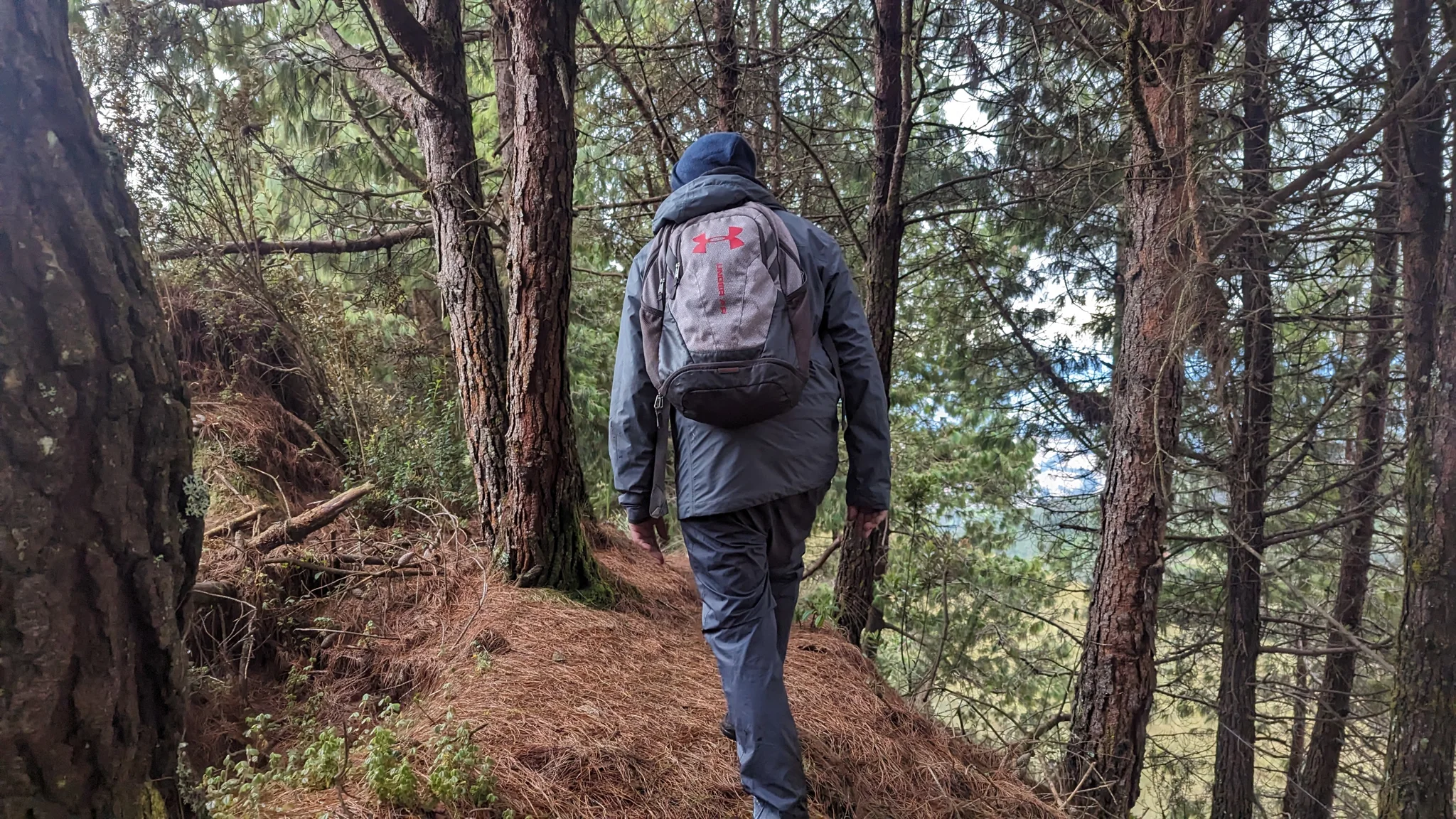 Un sendero estrecho entre los árboles