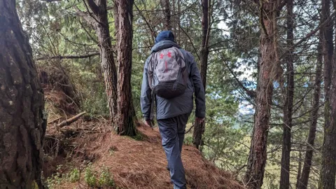 Un sendero estrecho entre los árboles