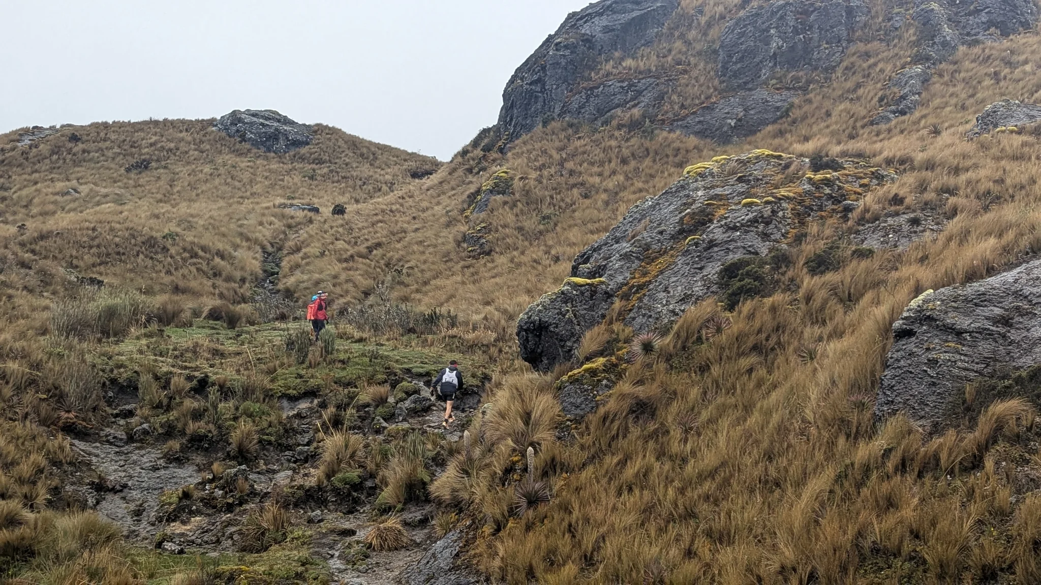 Pequeñas figuras siguen un sendero entre pajonal y rocas bajo una pared oscura y escarpada.