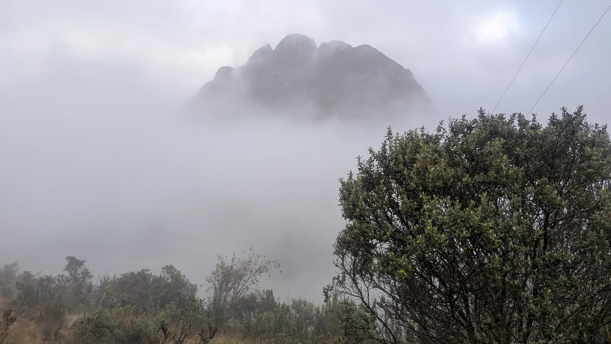 Una corona de roca dentada emerge de la niebla matinal sobre los arbustos del sector de Dos Chorreras. El nombre de la cumbre no está confirmado.