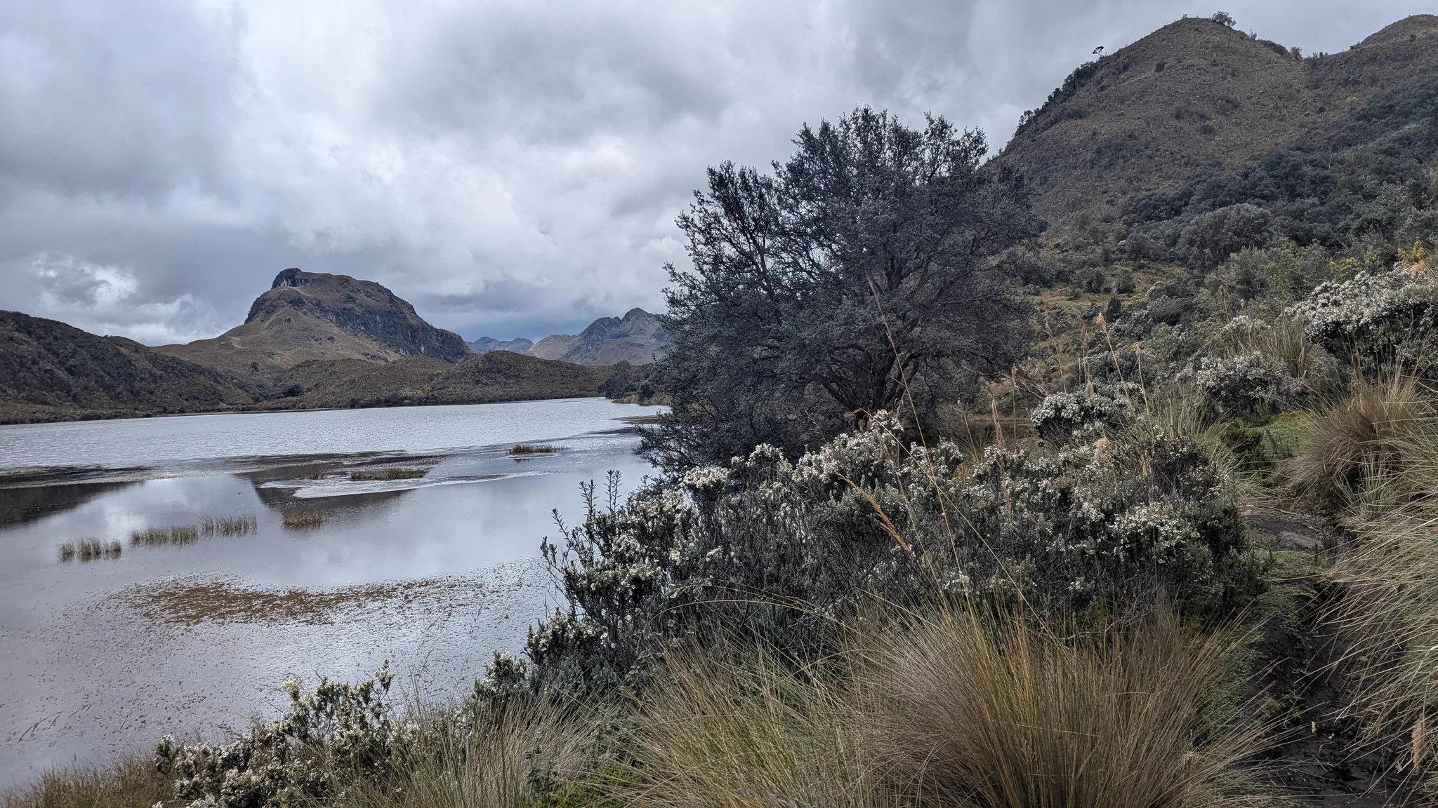 La laguna Patoquinuas se extiende tras arbustos densos y márgenes someros expuestos. Una fuente del IGM registra la variante Paroquinuas.