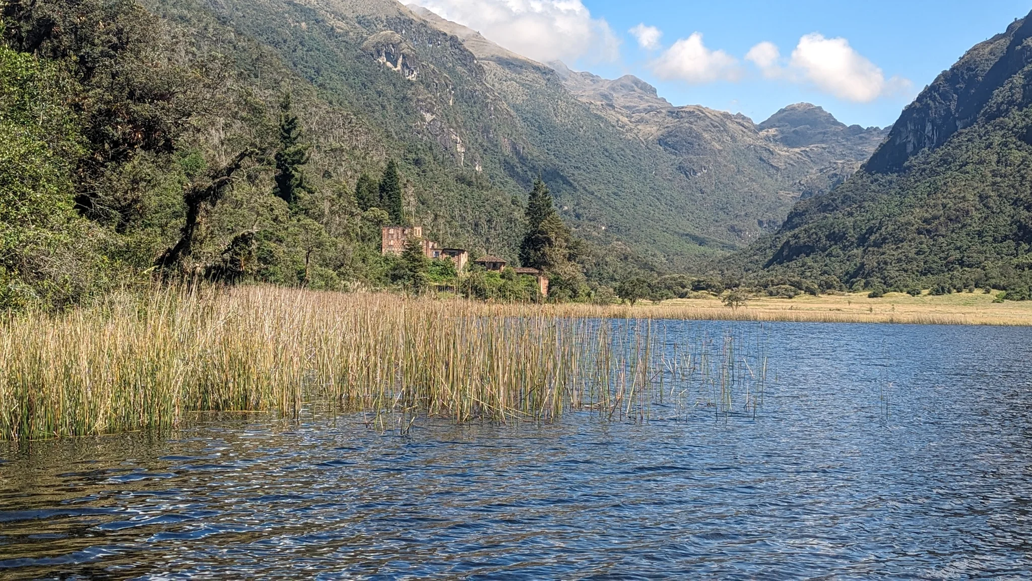 Juncos y un valle arbolado junto a la laguna