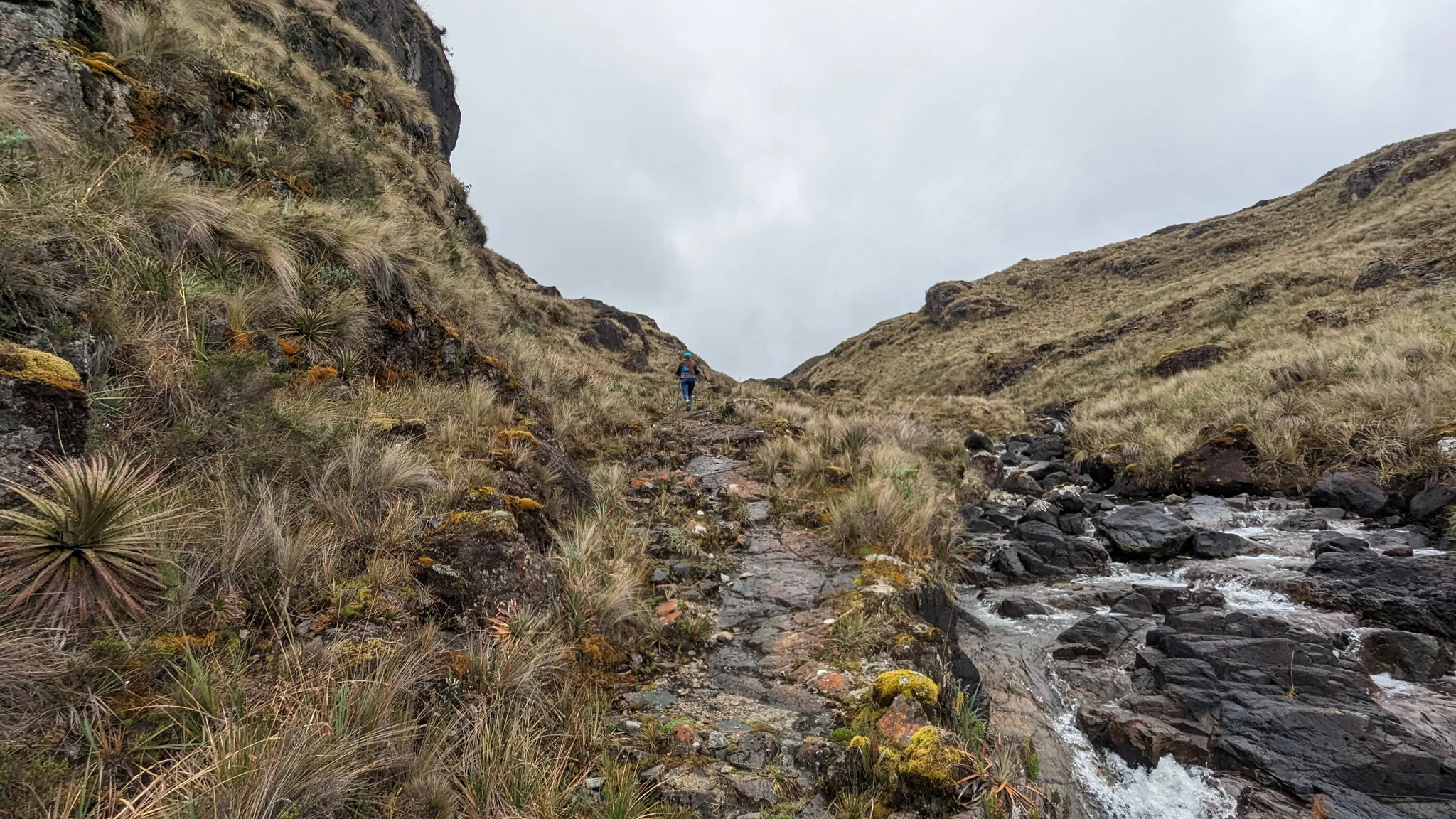 Agua por un corredor rocoso de montaña