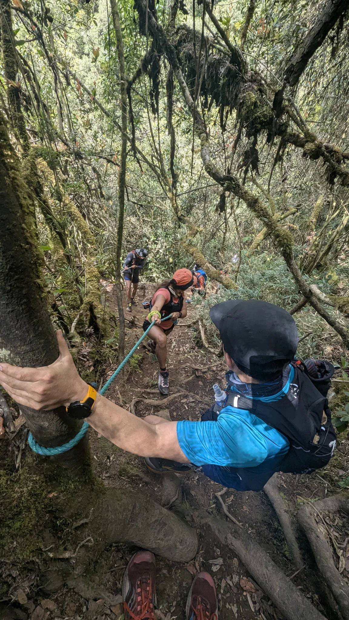 Un paso con cuerda en el bosque