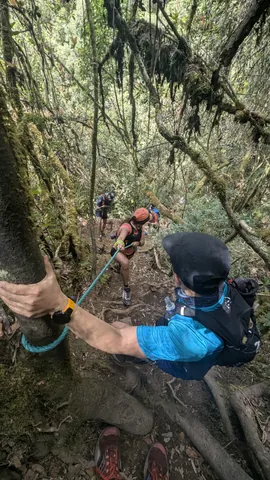 Un paso con cuerda en el bosque