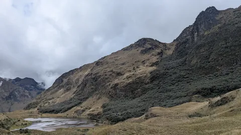 La laguna Barrancos se extiende entre márgenes someros expuestos, laderas boscosas y filos de roca oscura.