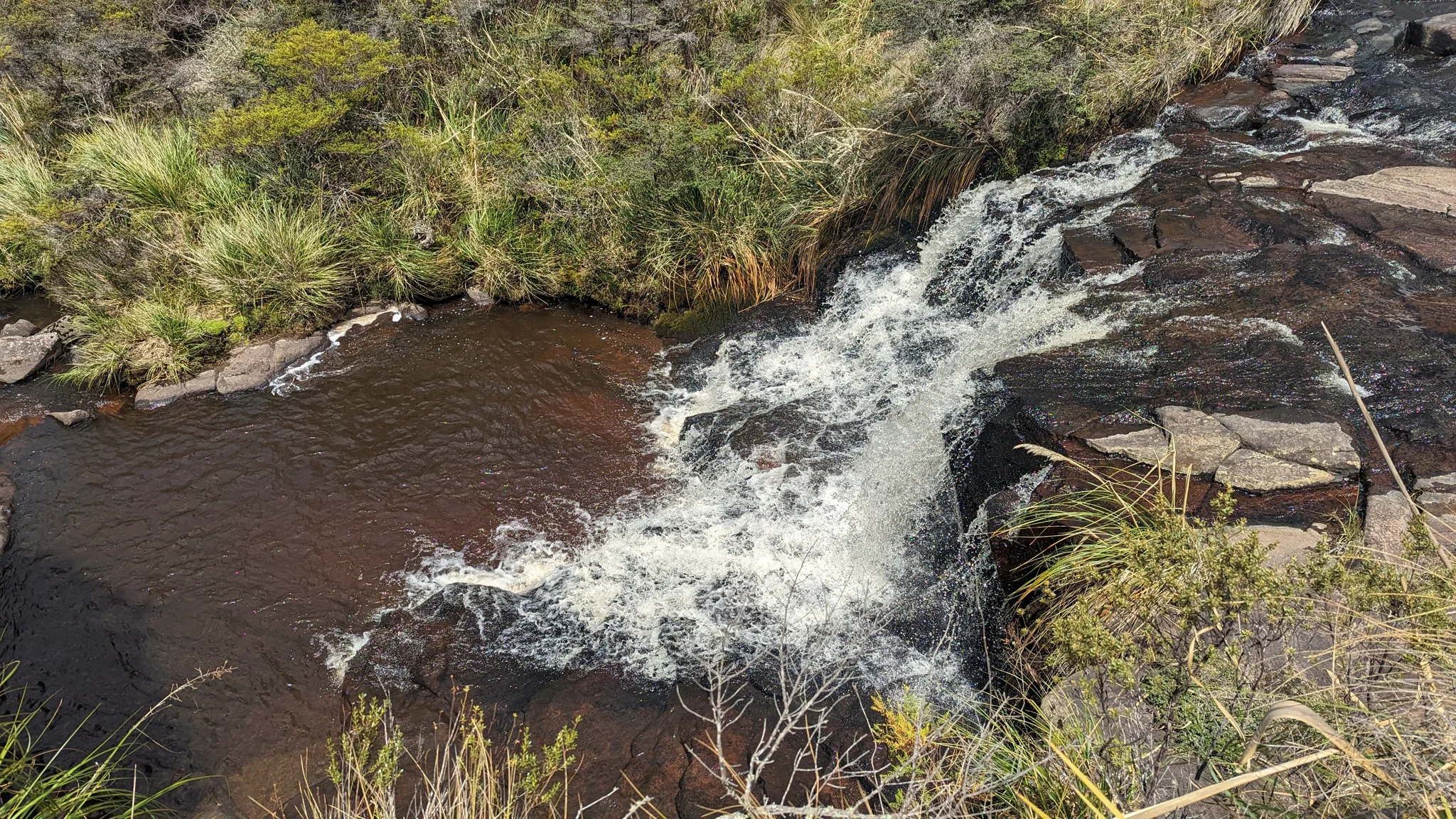 Un arroyo que baja entre rocas
