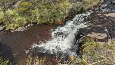 Un arroyo que baja entre rocas
