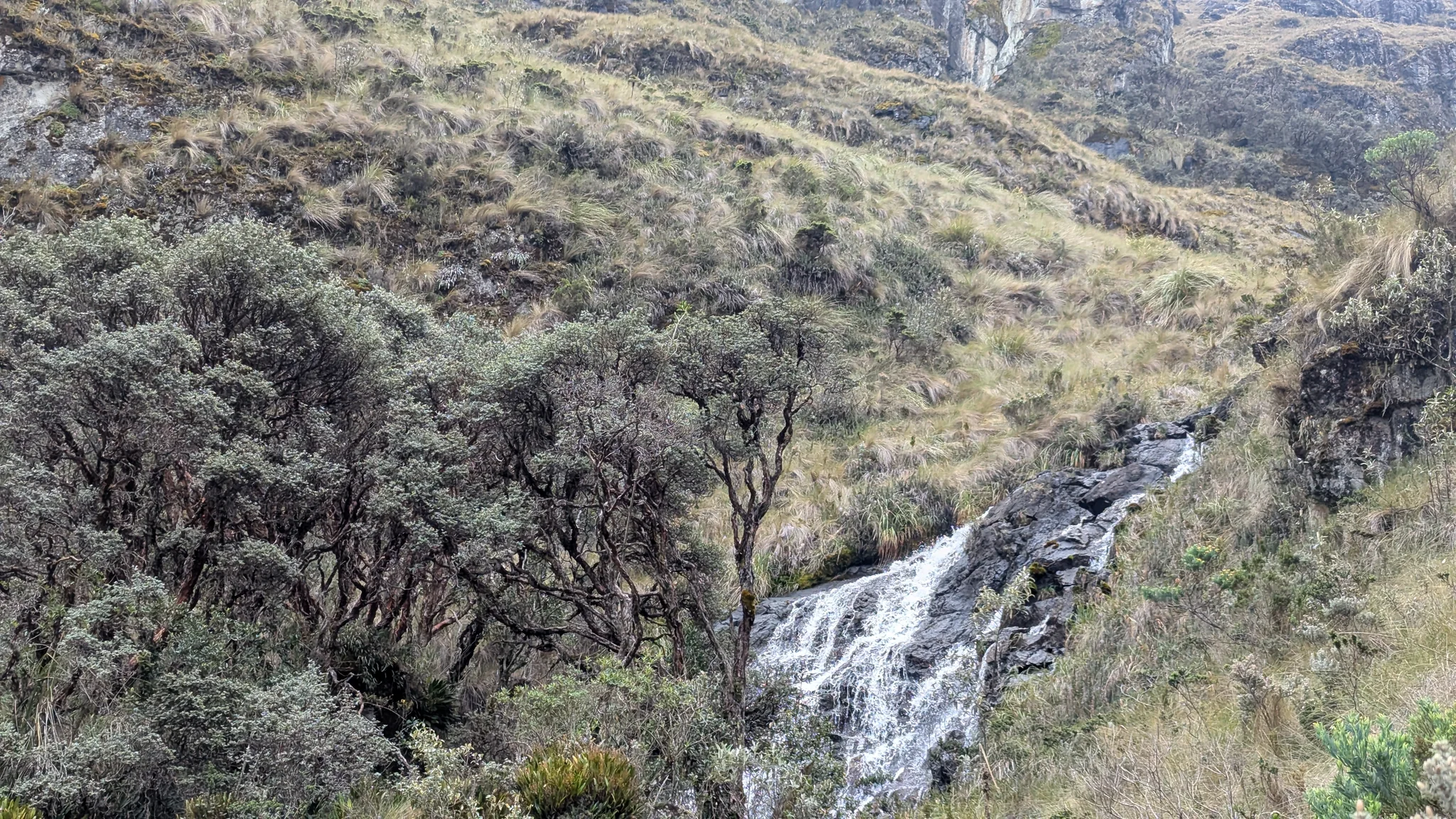Agua blanca al pie de una ladera rocosa