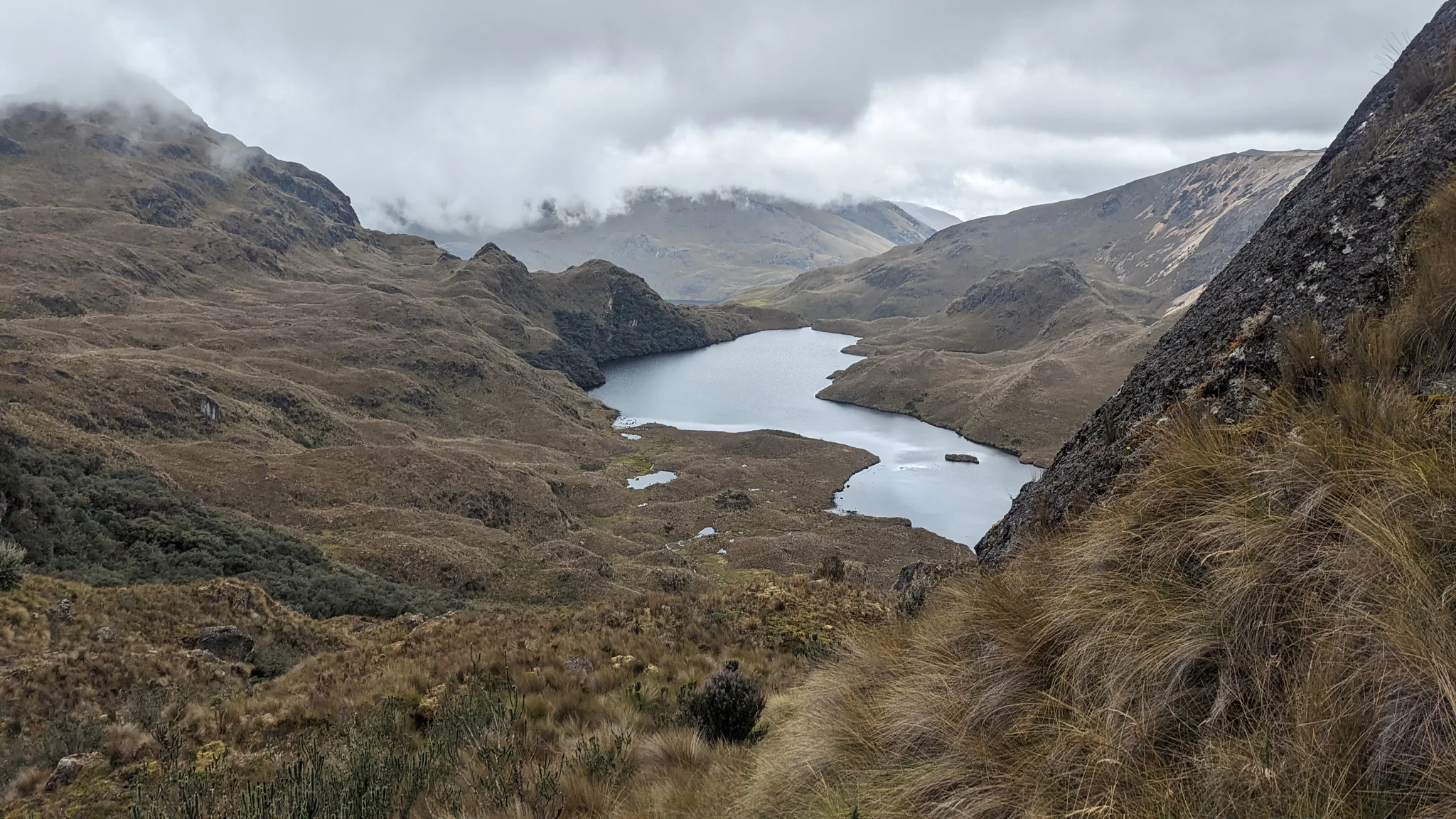 Agua al pie de un valle verde