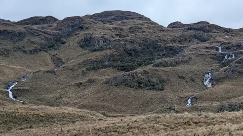 Dos cintas separadas de agua blanca descienden por una ladera amplia entre pajonal y cornisas rocosas.