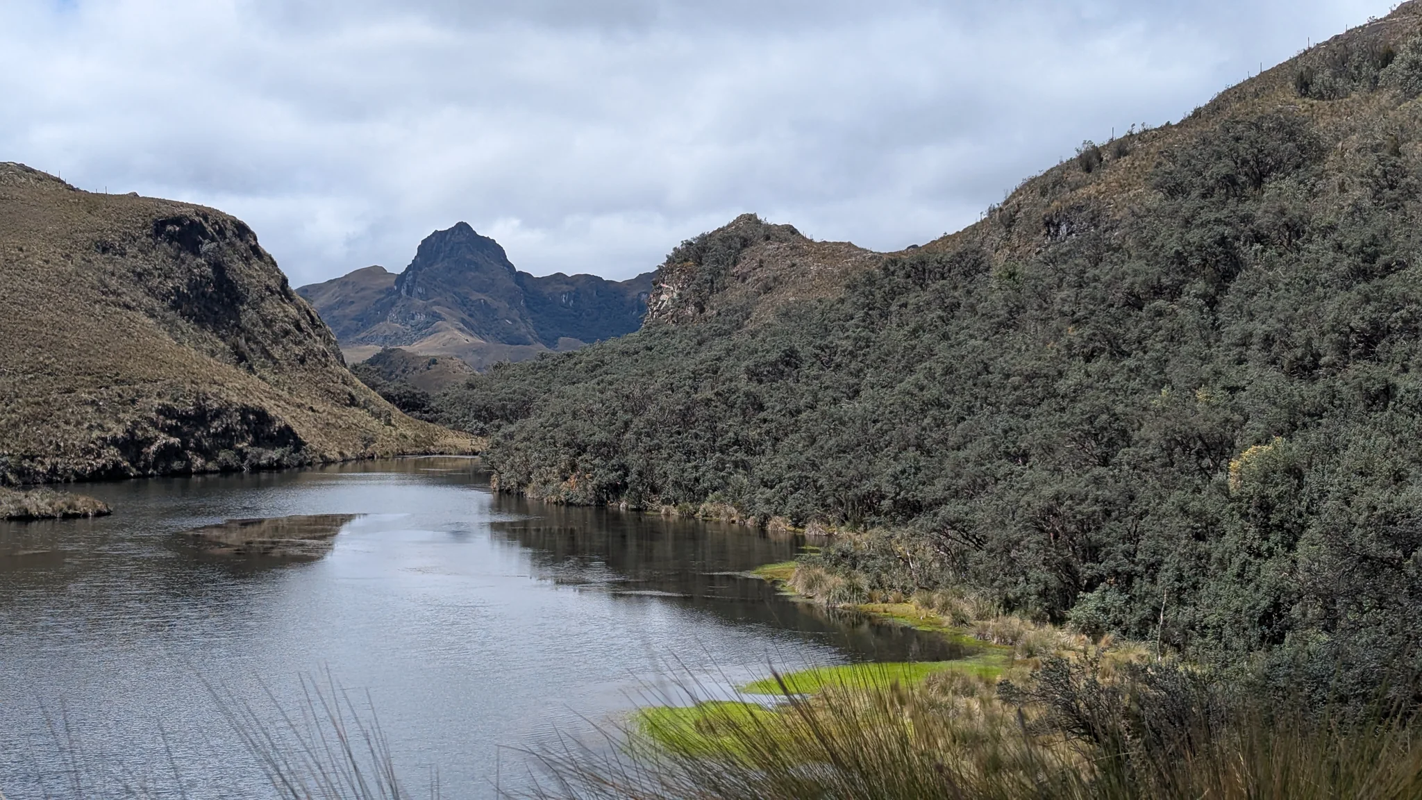 Lagunas Unidas refleja una franja de cielo entre una orilla de pajonal y arbustos densos.