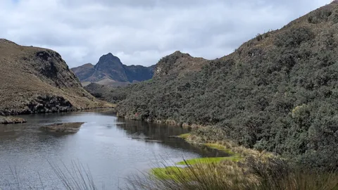 Lagunas Unidas refleja una franja de cielo entre una orilla de pajonal y arbustos densos.