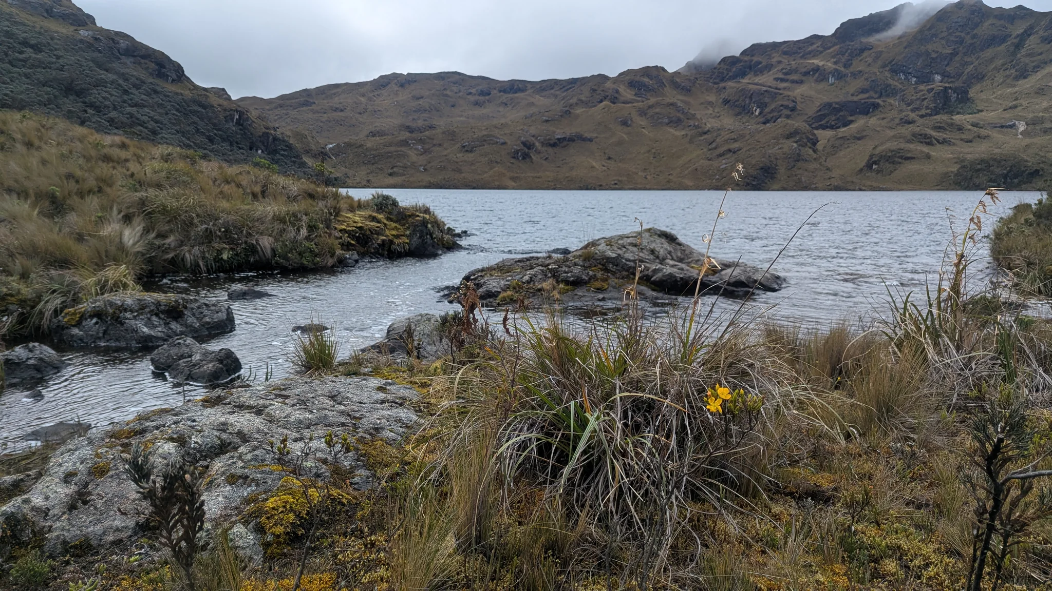 Agua que fluye por las tierras altas