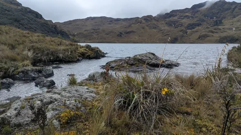 Agua que fluye por las tierras altas