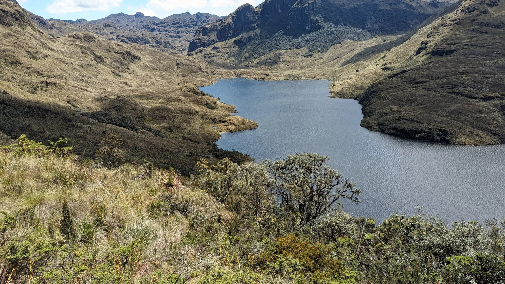 Mamamag desde una ladera de pajonal.