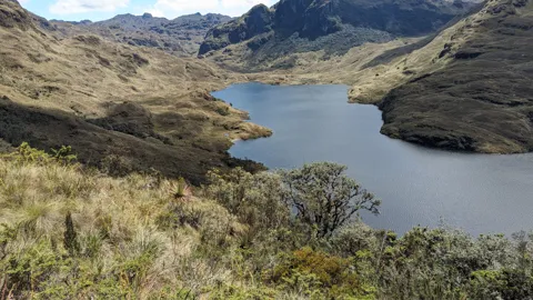 Mamamag desde una ladera de pajonal.