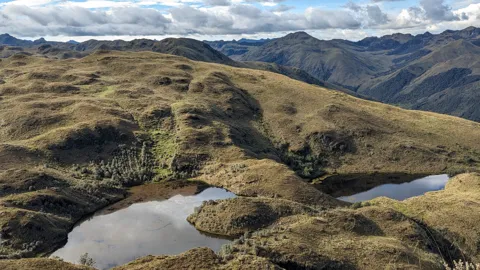 Pajonal alrededor de pequeñas lagunas. El nombre del cuerpo de agua sigue sin confirmarse.