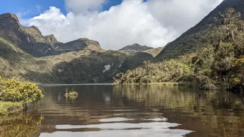 Agua tranquila bajo montañas escarpadas. El nombre del cuerpo de agua sigue sin confirmarse.