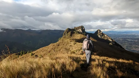 Una caminata por una cresta de paja iluminada