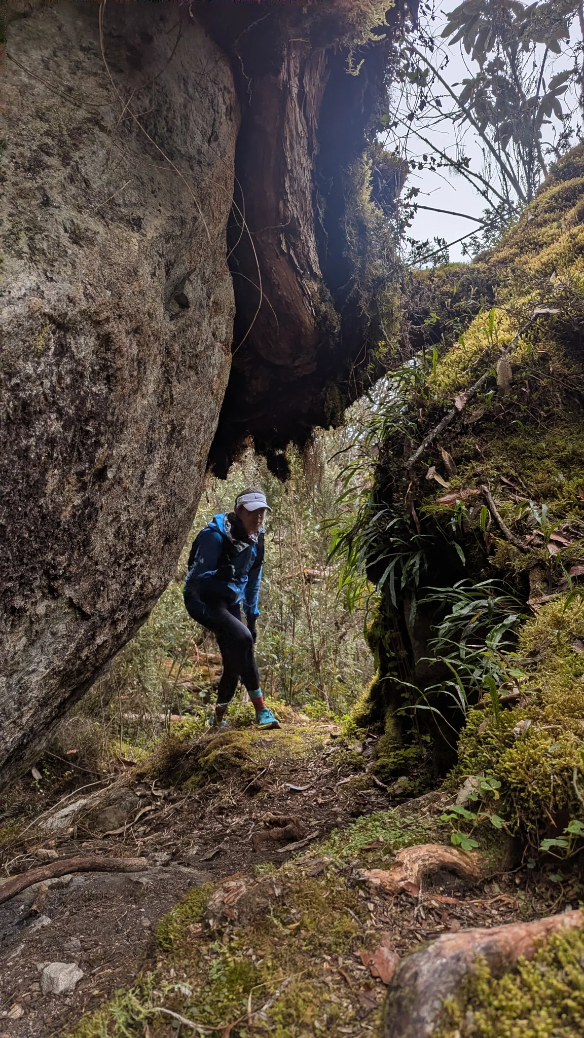 Una persona camina entre grandes bloques de roca por un sendero estrecho bordeado de musgo.