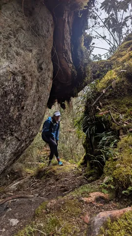 Una persona camina entre grandes bloques de roca por un sendero estrecho bordeado de musgo.