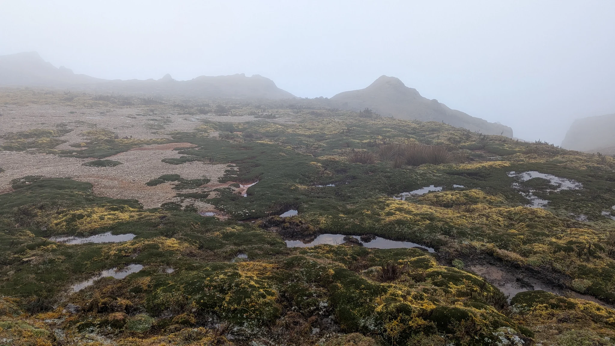 Pequeñas pozas en una meseta con neblina
