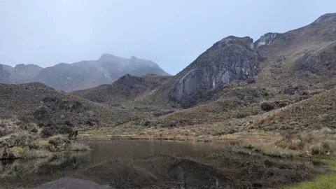El pajonal rodea una pequeña laguna bajo paredes rocosas escarpadas durante la salida de Osohuayco.