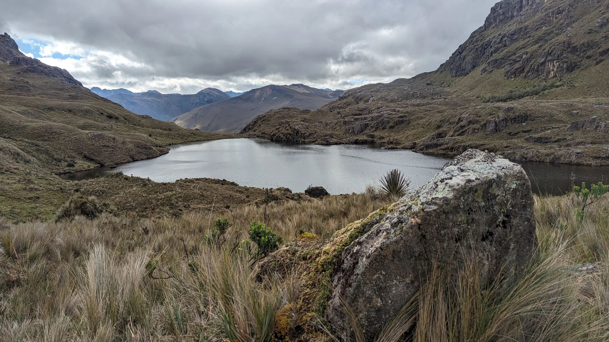 Canutillos entre rocas y pajonal.