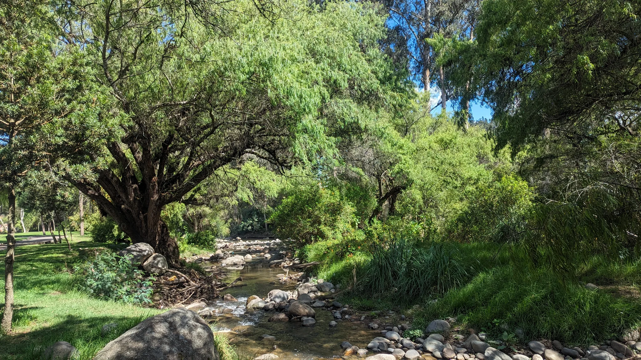 Una quebrada a la sombra de los árboles