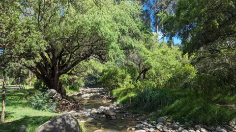 Una quebrada a la sombra de los árboles