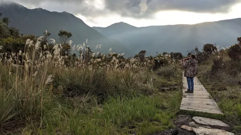 Pasarela junto a una laguna. El nombre del cuerpo de agua sigue sin confirmarse.