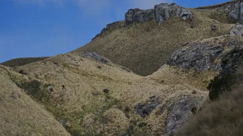 Una pared empinada sobre la paja dorada