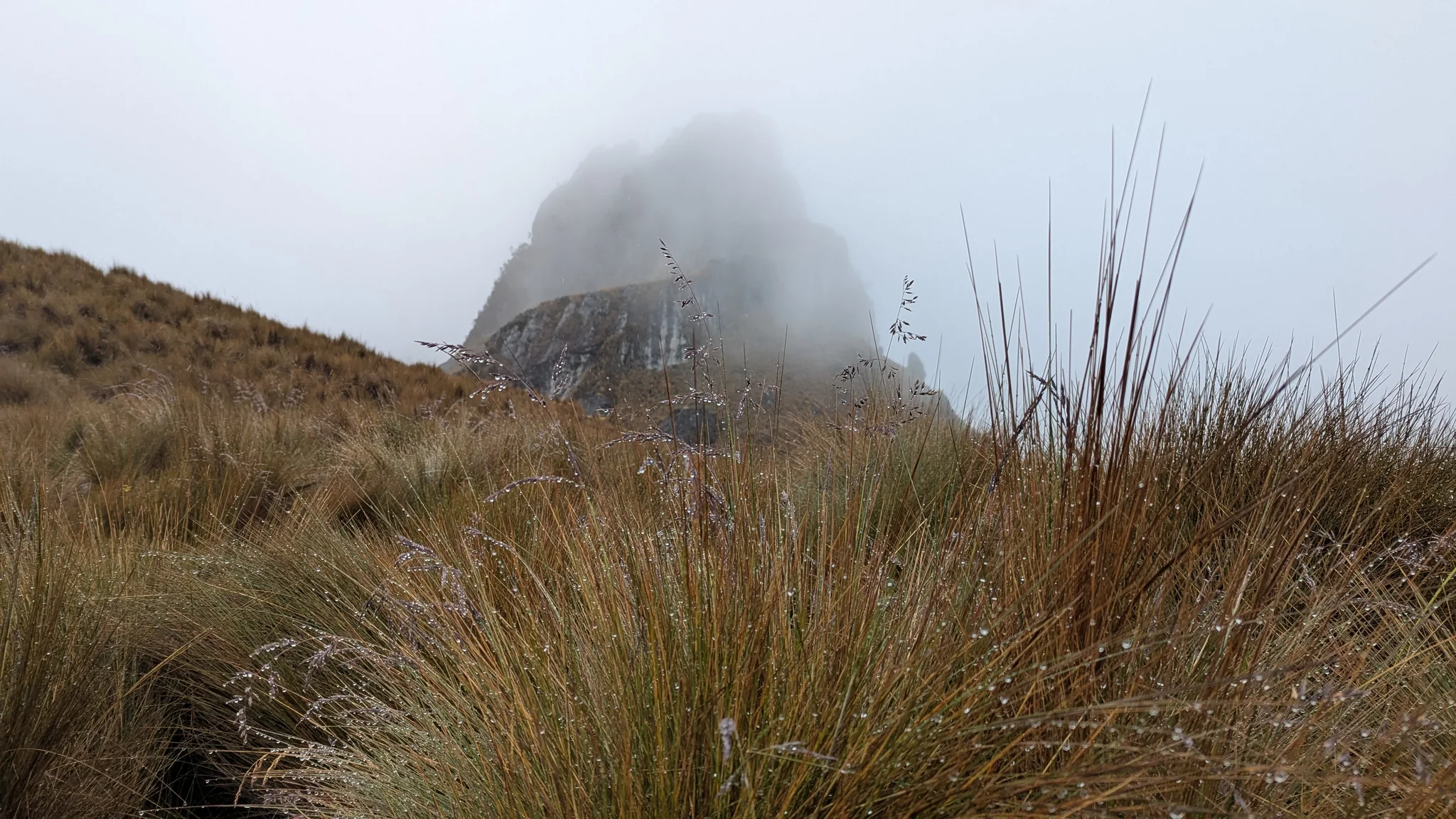 Una torre de roca escarpada y aislada sobresale del pajonal dorado y se pierde en las nubes bajas.