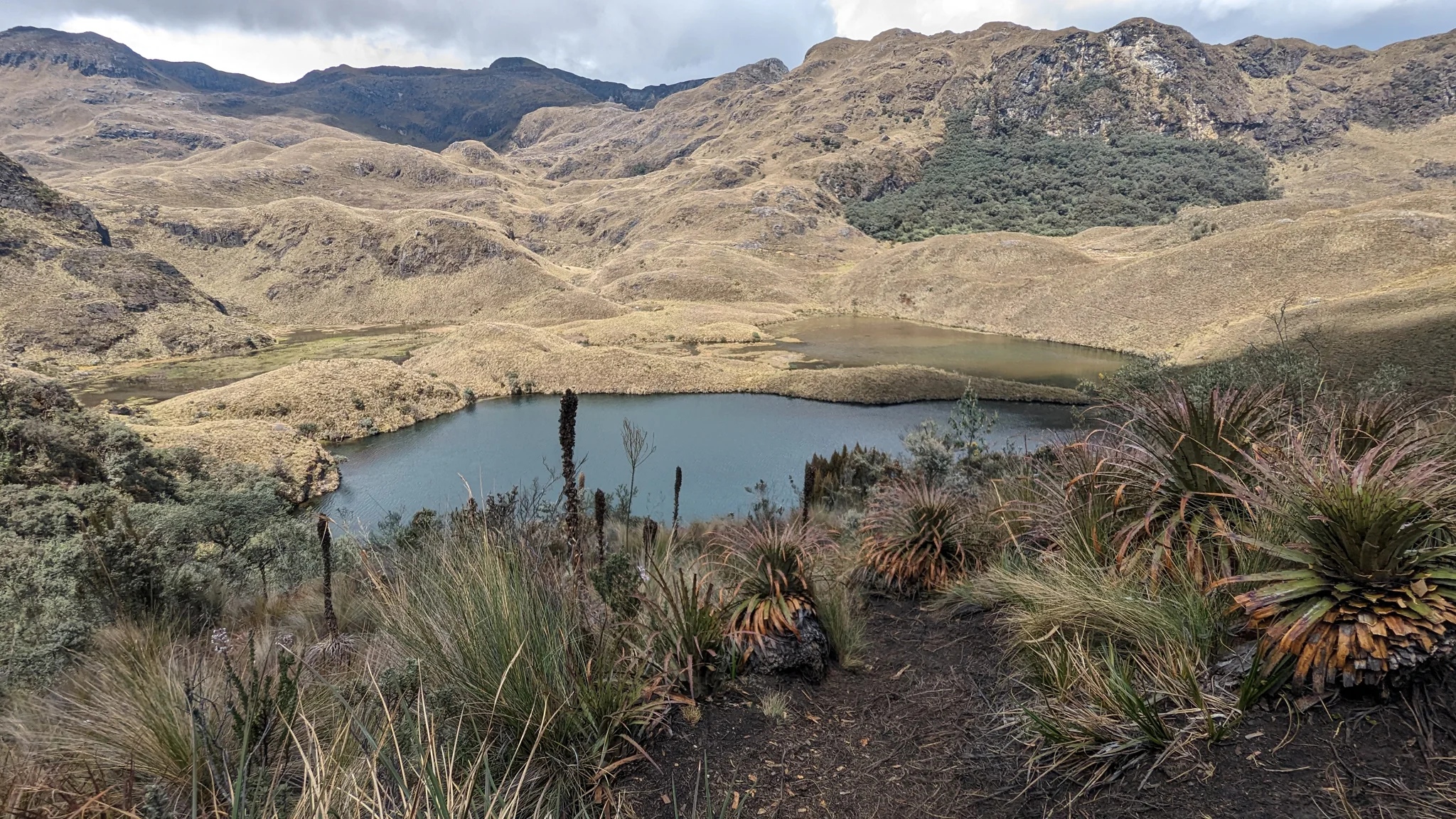 Un sendero sobre Lagunas Unidas.