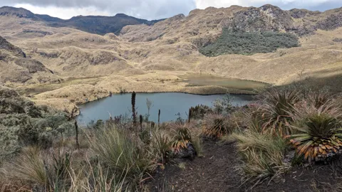 Un sendero sobre Lagunas Unidas.