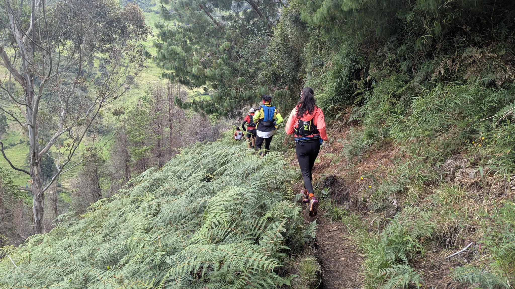Corredores en un sendero de bosque con neblina
