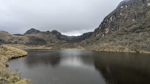 Niebla sobre Espeluznante.