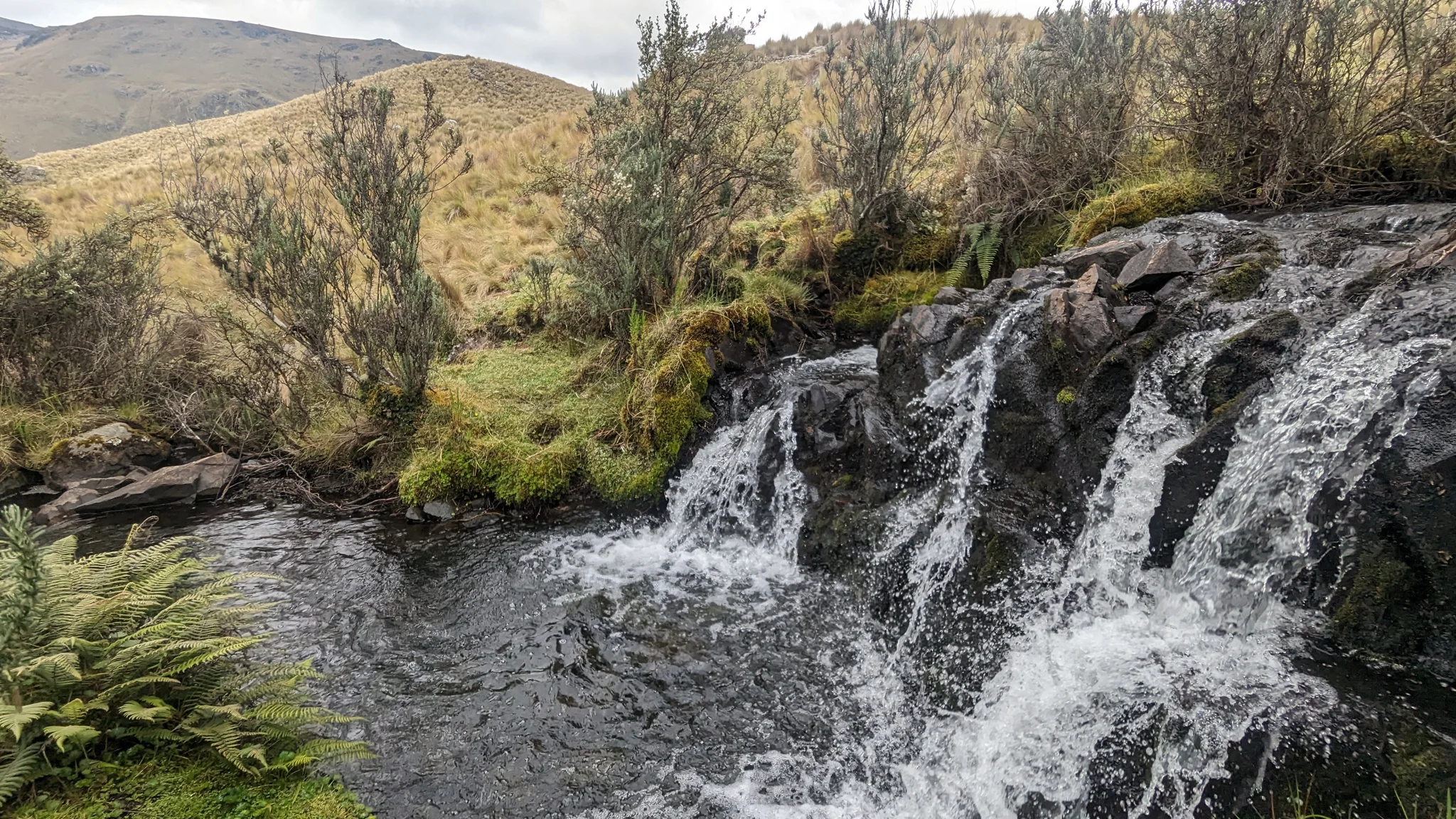 Una cascada ancha bajo árboles de altura