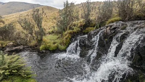 Una cascada ancha bajo árboles de altura